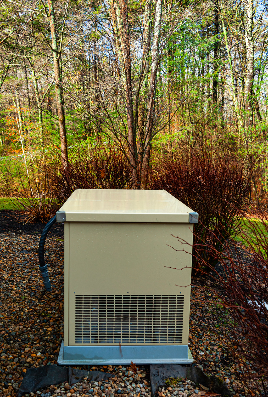 What’s The Difference Between Standby Generator Installation And A Portable Generator? | Dillon, SC