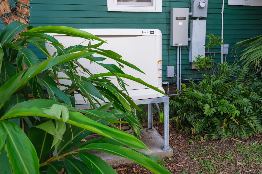 Backup generator outside of home with flourishing plants. Generator installs.